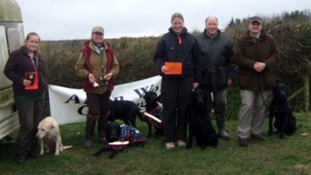 Retrievers beat the weather on Anglesey