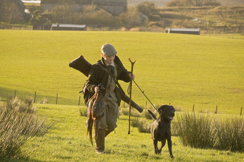 How do you control a headstrong gundog?